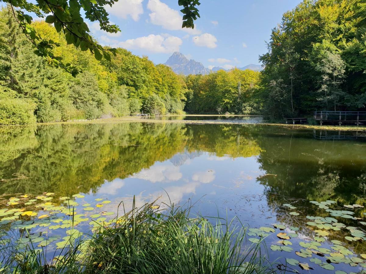 Entre Lac Et Montagnes Bernex Dış mekan fotoğraf